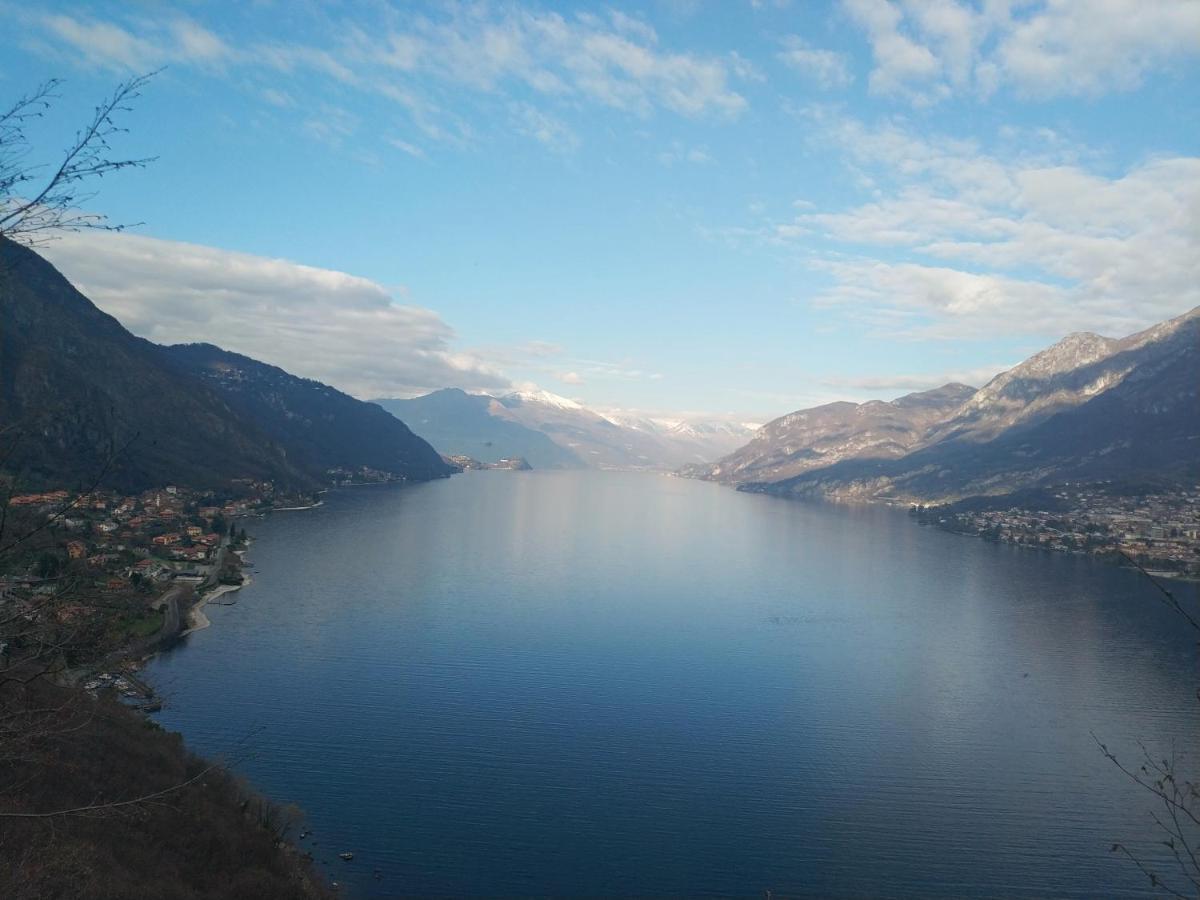 Apartment A Lago Private Beach And Parking Oliveto Lario Buitenkant foto