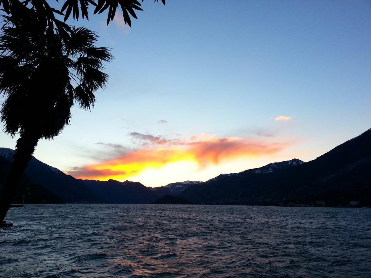 Apartment A Lago Private Beach And Parking Oliveto Lario Buitenkant foto