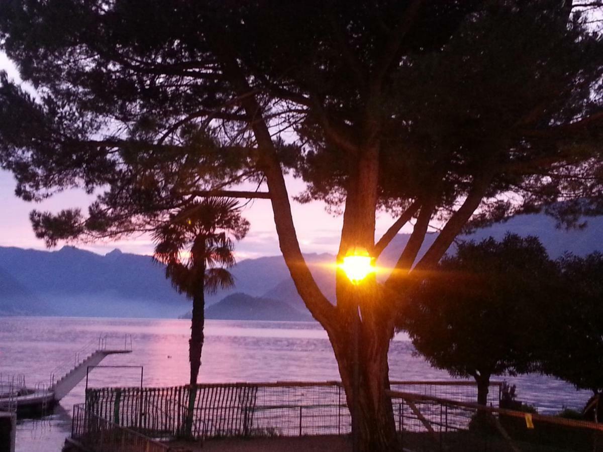 Apartment A Lago Private Beach And Parking Oliveto Lario Buitenkant foto